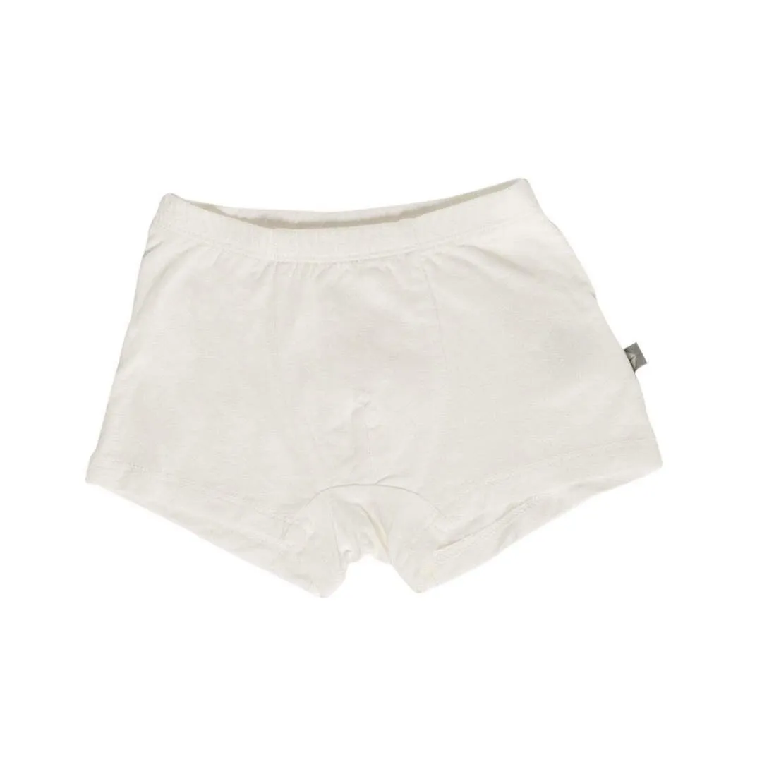 Briefs