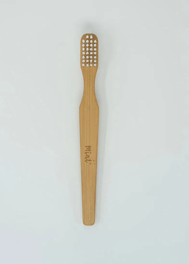 Cleaning Brush