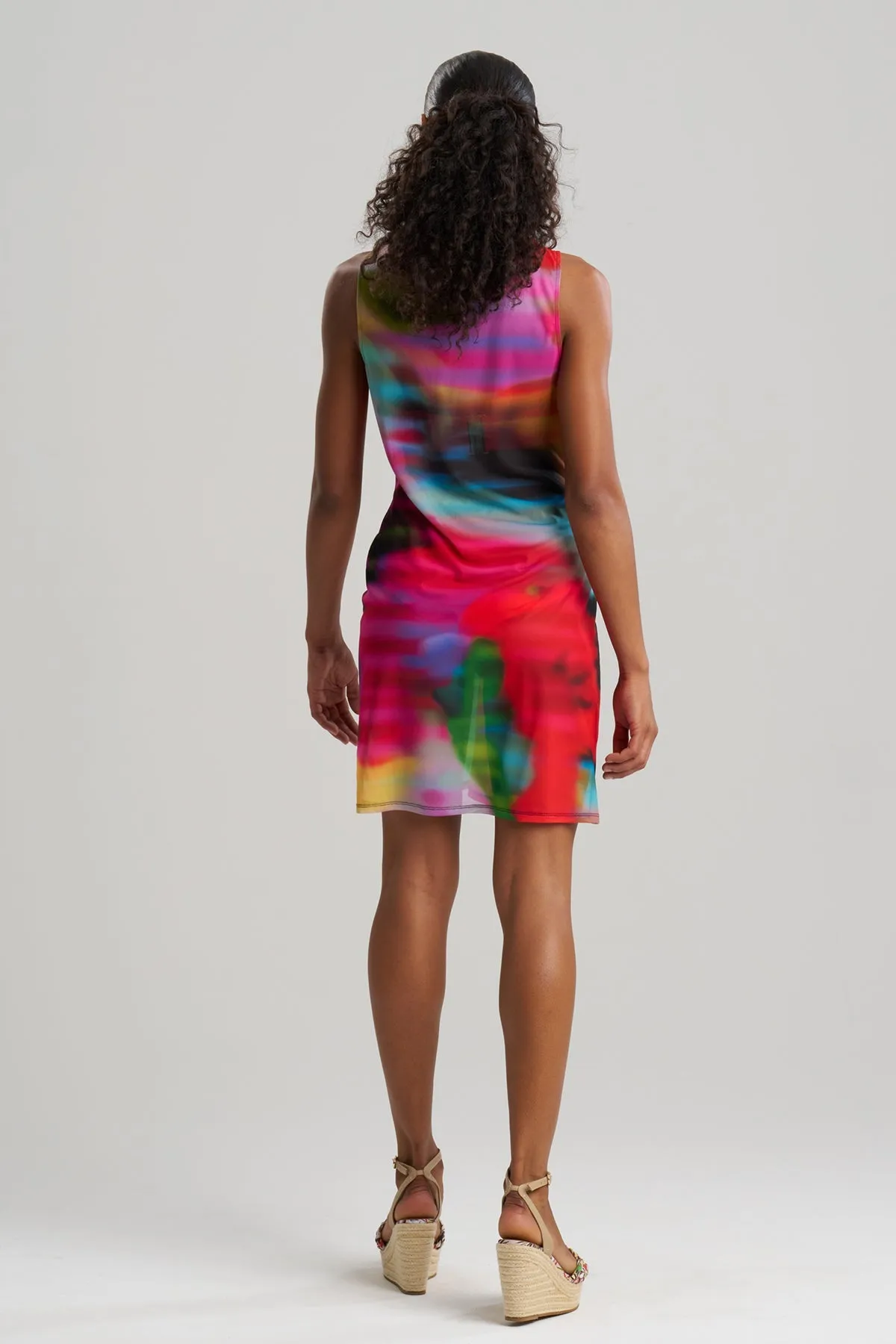 Floral Mirage Printed Mesh Mini Dress