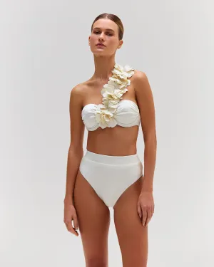 High Leg Bikini Bottom (EXCLUSIVE)